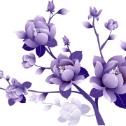Vector Violet Flower PNG ภาพฟรี