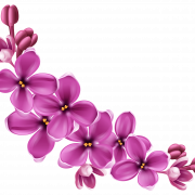 Vector Violet Flower PNG Image