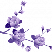 Immagine png di fiore viola vettoriale