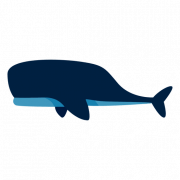 Vector Whale PNG ดาวน์โหลดฟรี