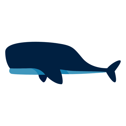 Vector Whale PNG Free Download