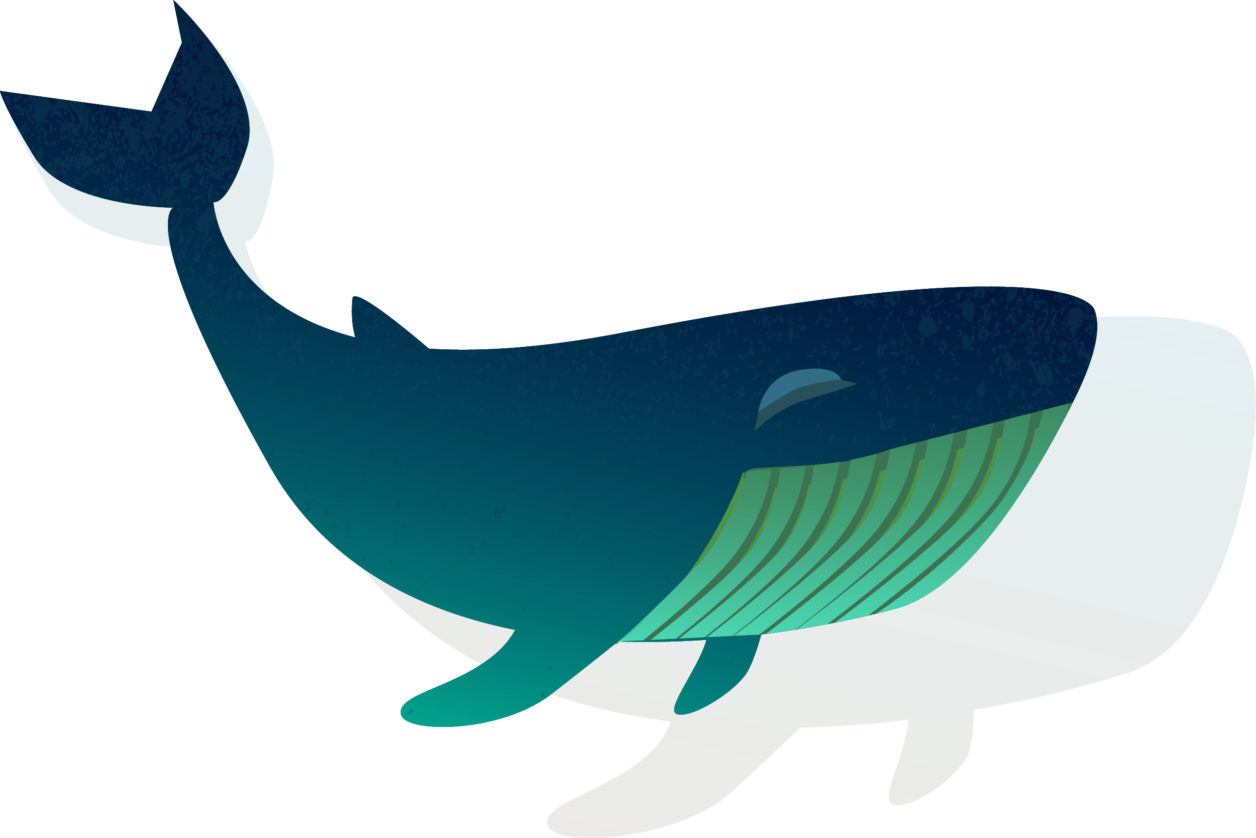 Baleine vectorielle