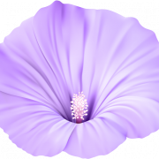 Fleur violet png clipart