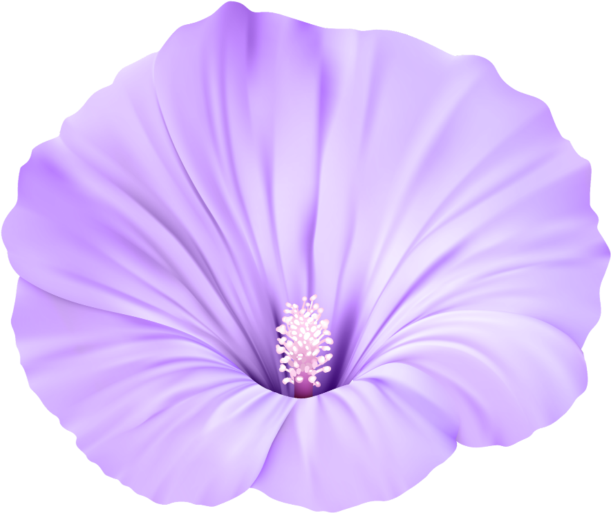 Violet Flower PNG Clipart
