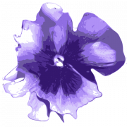 Violett Blume PNG Download Bild