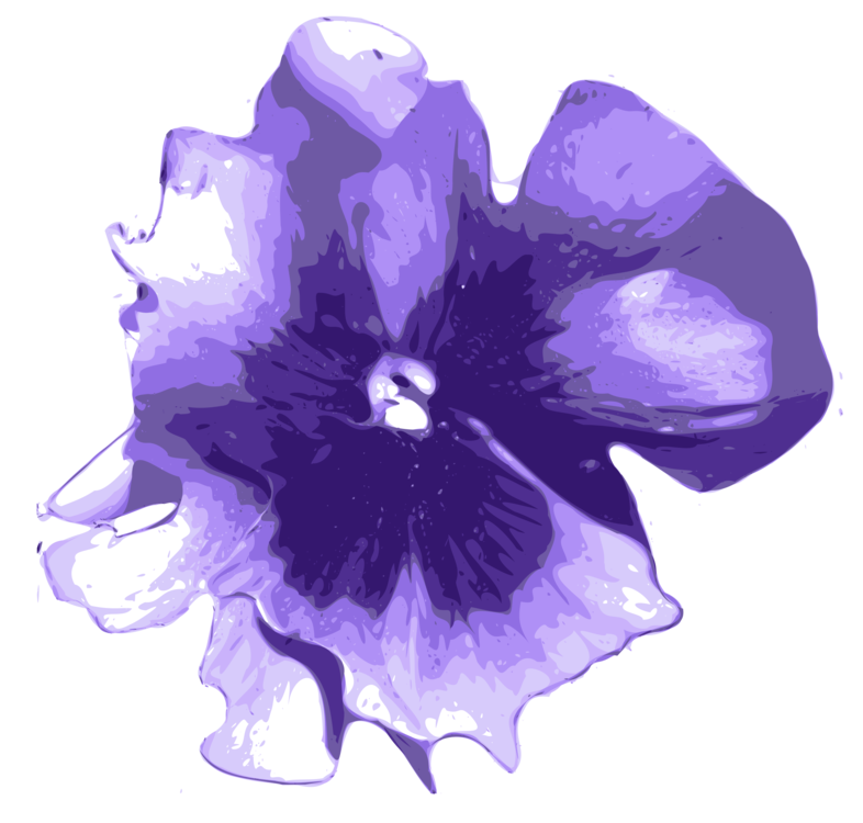 Violet Flower PNG Download Image