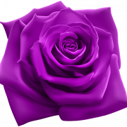 Download gratuito di Flower PNG Violet