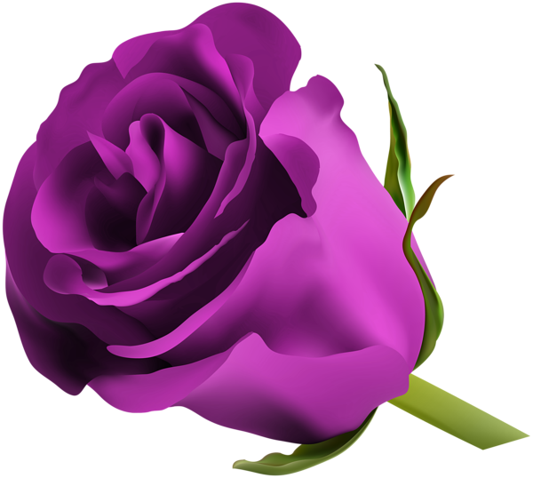 Violet Flower PNG -afbeelding