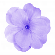 Violet Flower PNG Photo