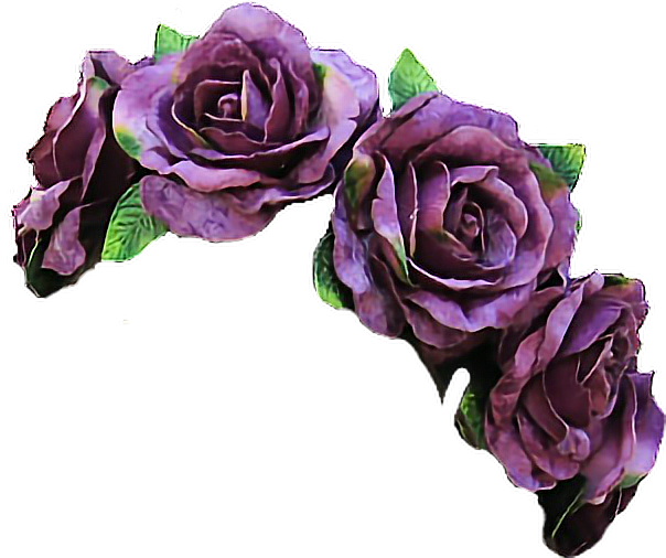 Bunga violet