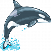 Whale PNG Clipart