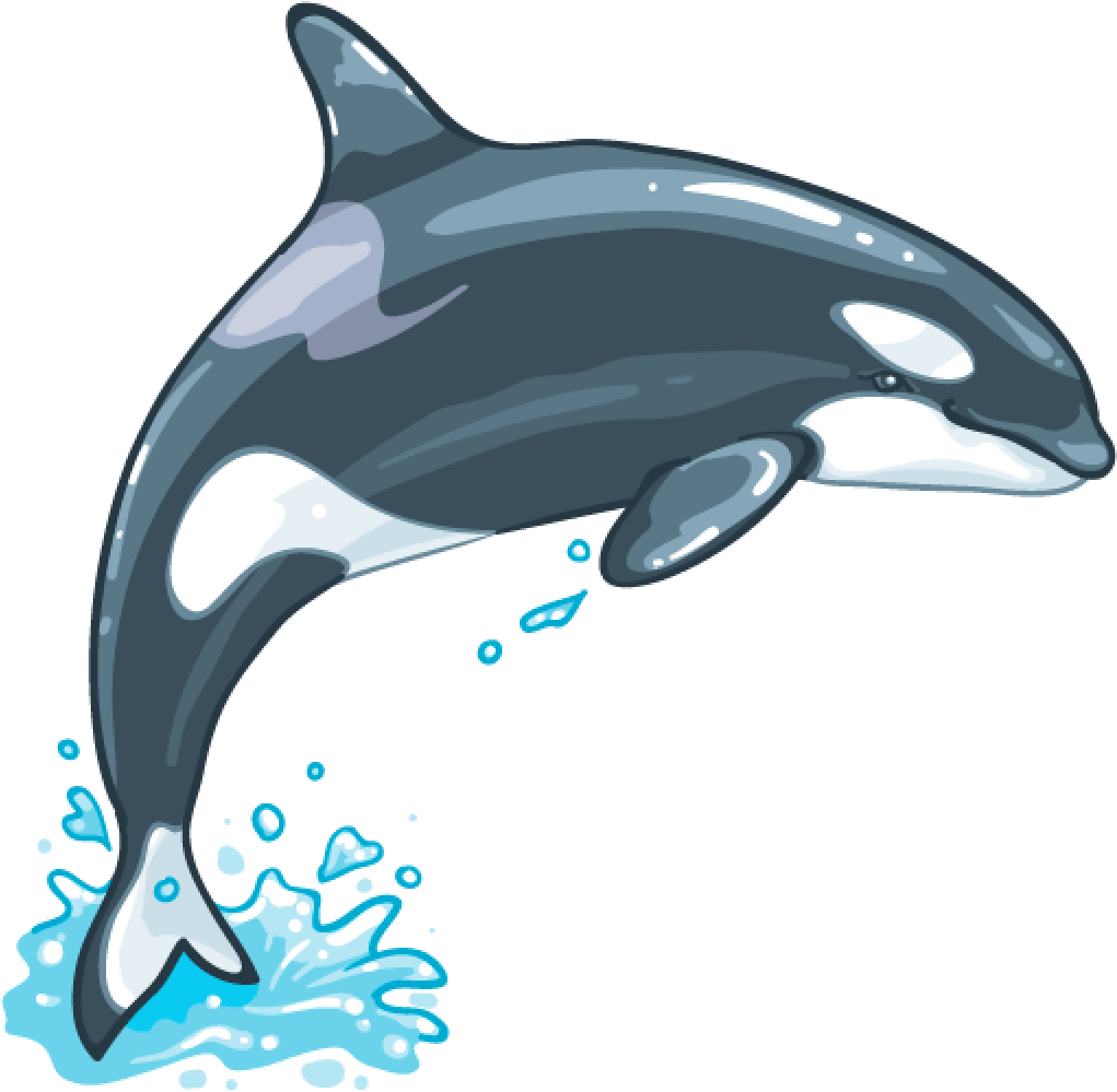 Whale PNG Clipart