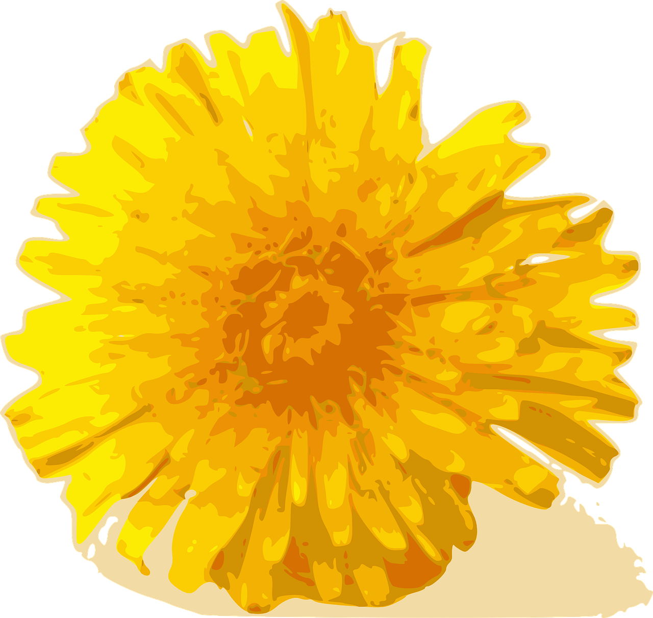 Yellow Dandelion PNG Download Image