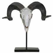 Animal Horns PNG HD Image (1)