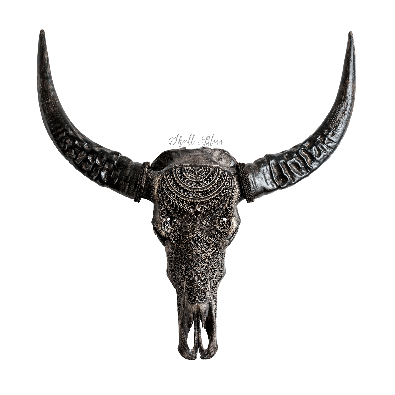 Animal Horns PNG Image (1)