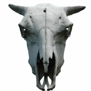 Animal Horns PNG Images