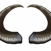 Animal Horns PNG Picture