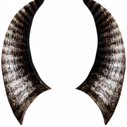 Animal Horns PNG Transparent HD Photo