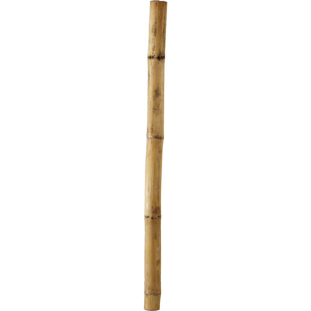 Image PNG du bâton de bambou - PNG All