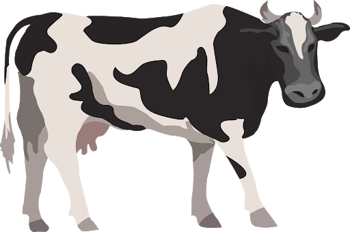 Cattle PNG Image HD