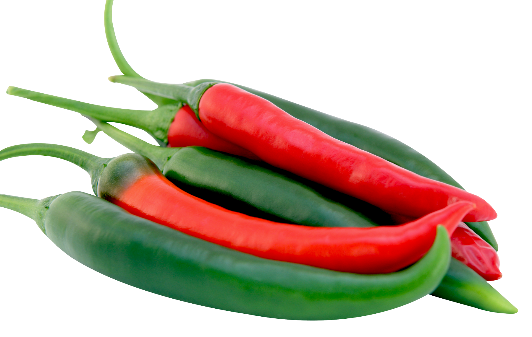Chilli Pepper PNG Image File