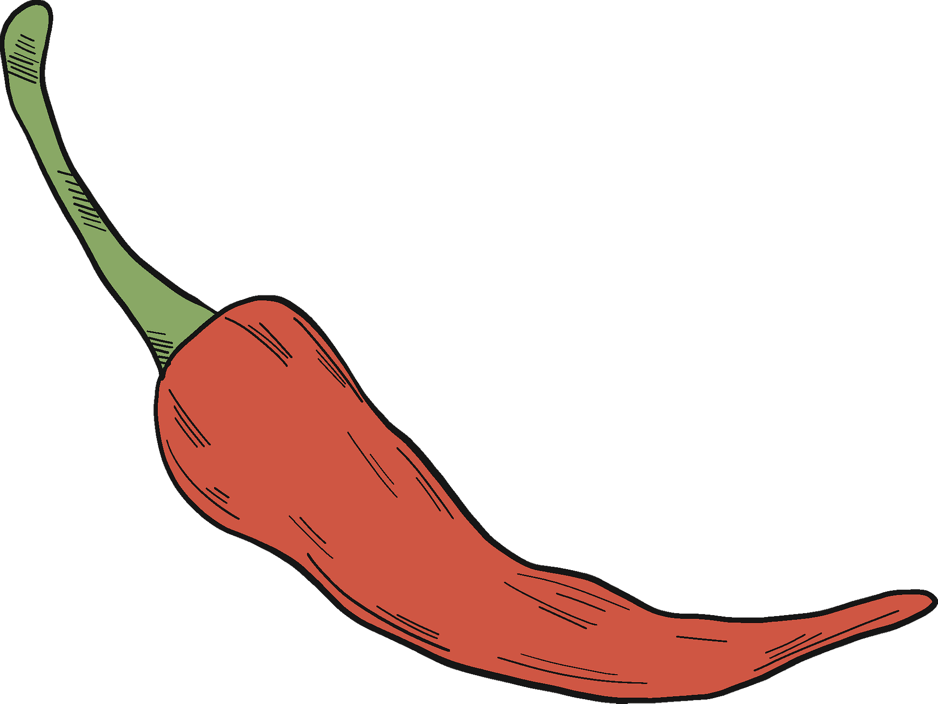 Chilli Pepper PNG Image