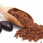Cocoa Bean PNG