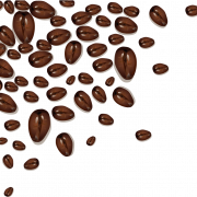Cocoa Bean PNG File Download Free
