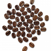 Cocoa Bean PNG HD Image