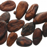 Cocoa Bean PNG High Quality Image