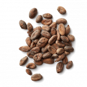 Cocoa Bean PNG Image