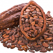 Cocoa Bean PNG Images
