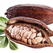 Cocoa Beans PNG Clipart