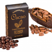 Cocoa Beans PNG High Quality Image