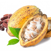 Cocoa Beans PNG Picture