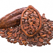 Coffee Cocoa Beans PNG Free Download