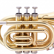 Instrumento musical cornet transparente
