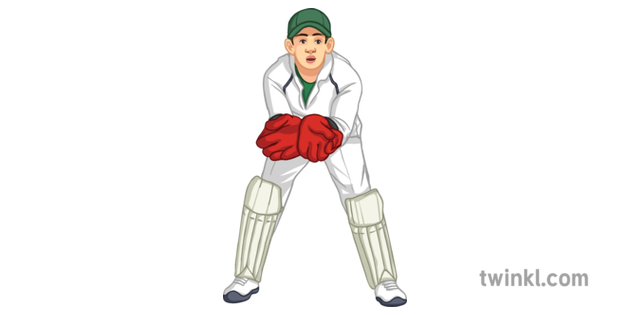 Cricket Wicket PNG File