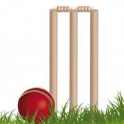 Cricket Wicket PNG kostenloser Download