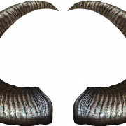 Demon Horn PNG Image