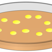 Dish PNG Image File