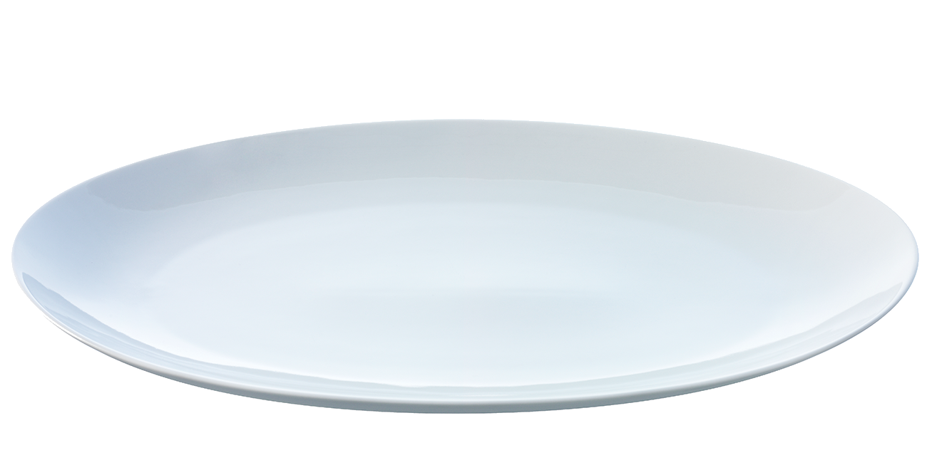 Dish Plate Transparent