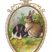 Paskalya Tavşanı Png Görüntüsü