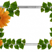Bloemen oranje frame PNG -afbeelding