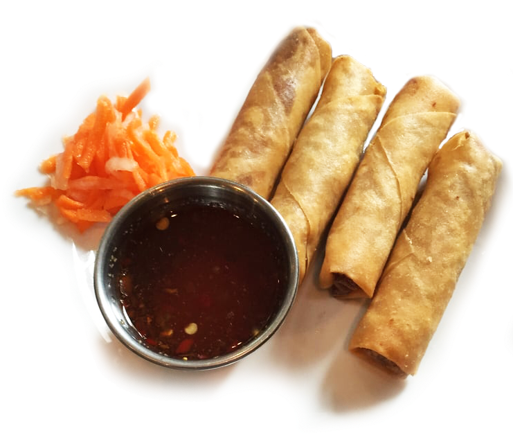 Fried Chinese Spring Roll PNG Transparent HD Photo