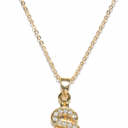 Gold Dollar Chain PNG