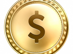 Gold Dollar Coin PNG