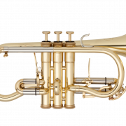 Gouden cornet