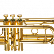 Gouden cornet transparant
