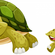 Groene schildpad